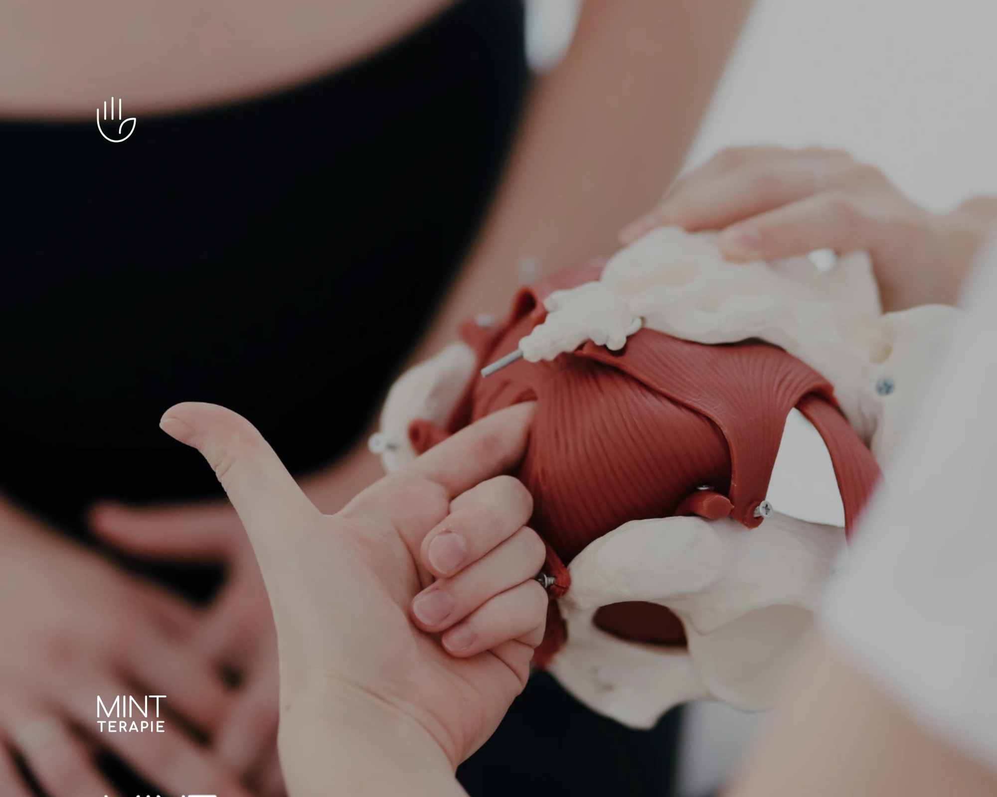 MINT Terapie pánevní dno